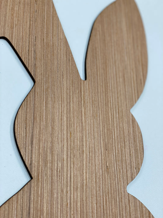 Easter Bunny Blank Door Hanger Smooth or Shiplap Laser Cut Blank for DIY Project